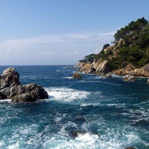 Meet your Posher, Terry